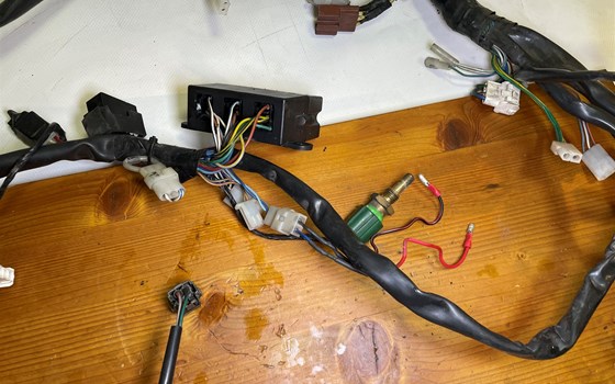 Aprilia RSV 1000 Tuono RP 2003 Kabelbaum Hauptkabelbaum - Bild 13