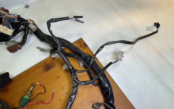 Aprilia RSV 1000 Tuono RP 2003 Kabelbaum Hauptkabelbaum - Bild 14