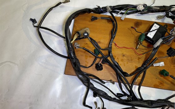 Aprilia RSV 1000 Tuono RP 2003 Kabelbaum Hauptkabelbaum - Bild 2