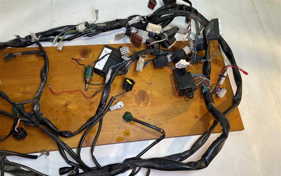 Aprilia RSV 1000 Tuono RP 2003 Kabelbaum Hauptkabelbaum - Bild 3