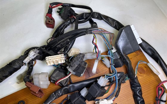 Aprilia RSV 1000 Tuono RP 2003 Kabelbaum Hauptkabelbaum - Bild 4