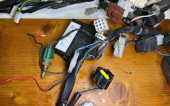 Aprilia RSV 1000 Tuono RP 2003 Kabelbaum Hauptkabelbaum - Bild 6