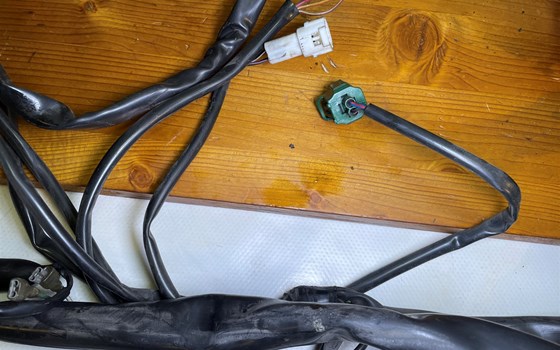 Aprilia RSV 1000 Tuono RP 2003 Kabelbaum Hauptkabelbaum - Bild 7