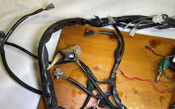 Aprilia RSV 1000 Tuono RP 2003 Kabelbaum Hauptkabelbaum - Bild 9