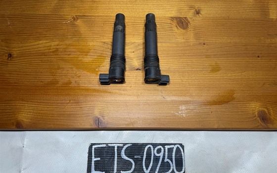 KTM 950 SM LC8 Supermoto Zündspulen - Bild 1