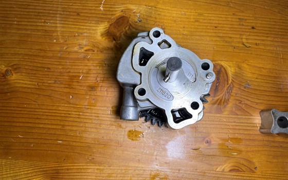 Aprilia RSV 1000 Tuono RP 2003 Ölpumpe Pumpe - Bild 2