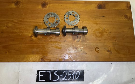 Aprilia RSV 1000 Tuono RP 2003 Nockenwellen hinten - Bild 1