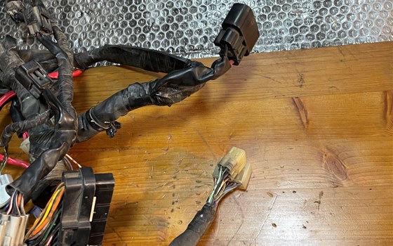 Yamaha YZF R1 RN12 Kabelbaum - Bild 3 Yamaha YZF R1 RN12 Kabelbaum - Bild 3