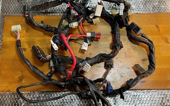 Yamaha YZF R1 RN12 Kabelbaum - Bild 5 Yamaha YZF R1 RN12 Kabelbaum - Bild 5