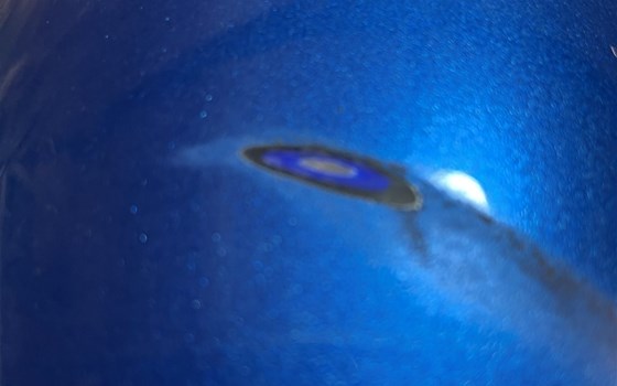 Yamaha YZF R1 RN12 Kotflügel vorne - Bild 4 Yamaha YZF R1 RN12 Kotflügel vorne - Bild 4