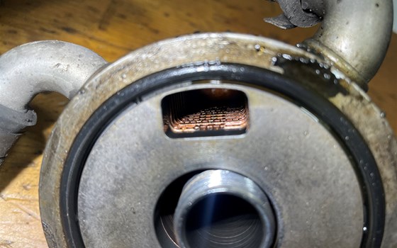 Honda CBR 600 ABS PC41 Wärmetauscher - Bild 7