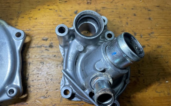 Honda CBR 600 ABS PC41 Wasserpumpe - Bild 5