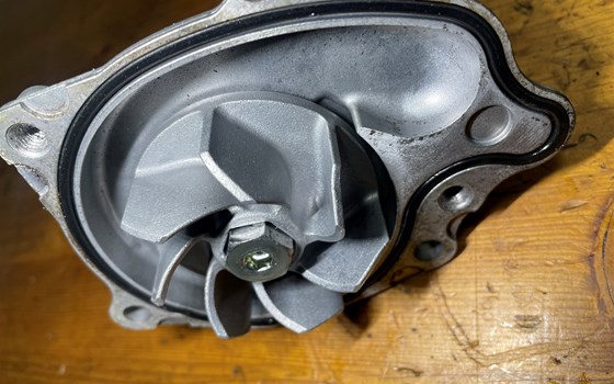 Honda CBR 600 ABS PC41 Wasserpumpe - Bild 8