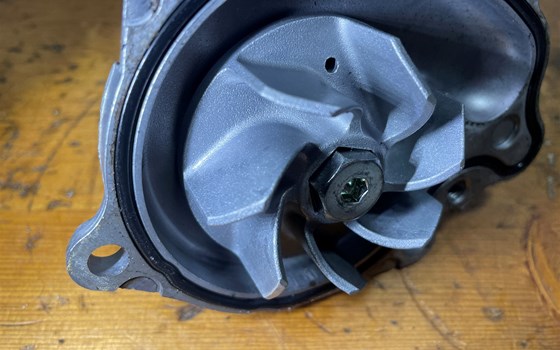 Honda CBR 600 ABS PC41 Wasserpumpe - Bild 9