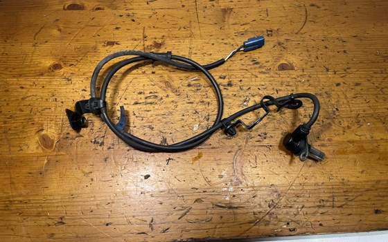 Honda CBR 600 ABS PC41 ABS Sensor vorne - Bild 2