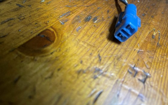 Honda CBR 600 ABS PC41 ABS Sensor vorne - Bild 7