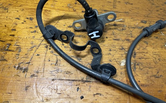 Honda CBR 600 ABS PC41 ABS Sensor hinten - Bild 2