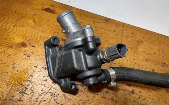 Honda CBR 600 ABS PC41 Thermostat - Bild 5