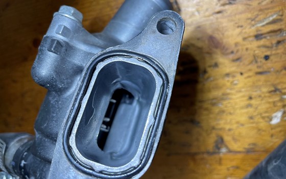 Honda CBR 600 ABS PC41 Thermostat - Bild 8