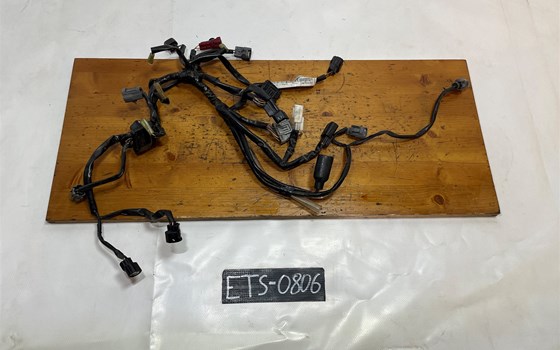 Honda CBR 600 ABS PC41 Kabelbaum Einspritzanlage Kabel - Bild 1 Honda CBR 600 ABS PC41 Kabelbaum Einspritzanlage Kabel - Bild 1