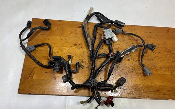 Honda CBR 600 ABS PC41 Kabelbaum Einspritzanlage Kabel - Bild 12 Honda CBR 600 ABS PC41 Kabelbaum Einspritzanlage Kabel - Bild 12