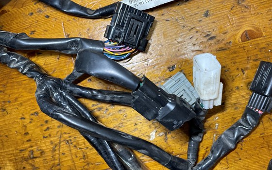 Honda CBR 600 ABS PC41 Kabelbaum Einspritzanlage Kabel - Bild 5 Honda CBR 600 ABS PC41 Kabelbaum Einspritzanlage Kabel - Bild 5