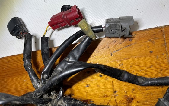 Honda CBR 600 ABS PC41 Kabelbaum Einspritzanlage Kabel - Bild 7 Honda CBR 600 ABS PC41 Kabelbaum Einspritzanlage Kabel - Bild 7