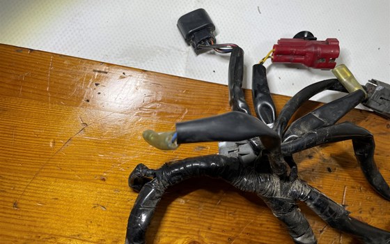 Honda CBR 600 ABS PC41 Kabelbaum Einspritzanlage Kabel - Bild 8 Honda CBR 600 ABS PC41 Kabelbaum Einspritzanlage Kabel - Bild 8