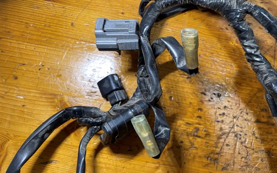 Honda CBR 600 ABS PC41 Kabelbaum Einspritzanlage Kabel - Bild 9 Honda CBR 600 ABS PC41 Kabelbaum Einspritzanlage Kabel - Bild 9