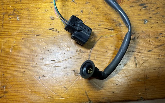 Honda CBR 600 ABS PC41 Kabelbaum Öldruckschalter Kabel - Bild 2 Honda CBR 600 ABS PC41 Kabelbaum Öldruckschalter Kabel - Bild 2