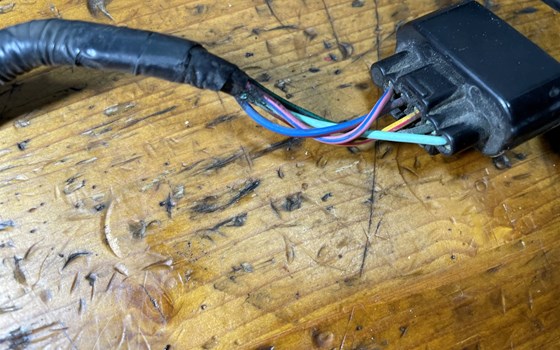 Honda CBR 600 ABS PC41 Kabelbaum Öldruckschalter Kabel - Bild 4 Honda CBR 600 ABS PC41 Kabelbaum Öldruckschalter Kabel - Bild 4