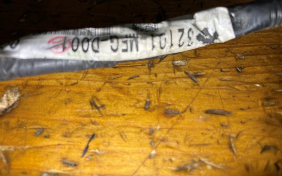 Honda CBR 600 ABS PC41 Kabelbaum Öldruckschalter Kabel - Bild 6 Honda CBR 600 ABS PC41 Kabelbaum Öldruckschalter Kabel - Bild 6