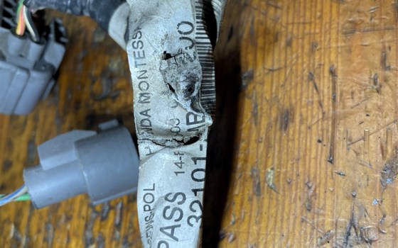 Honda XL 1000 Varadero SD02 Kabelbaum Einspritzanlage - Bild 6