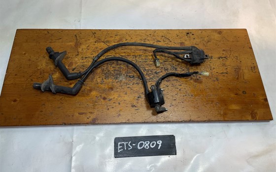 Honda XL 1000 Varadero SD02 Zündspulen - Bild 1