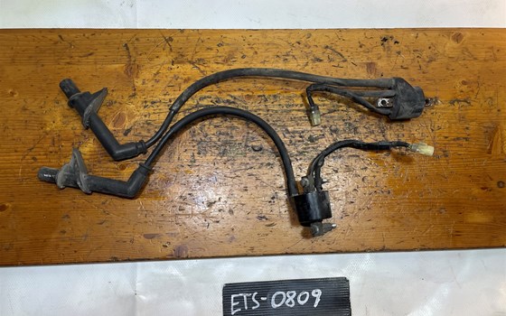 Honda XL 1000 Varadero SD02 Zündspulen - Bild 2