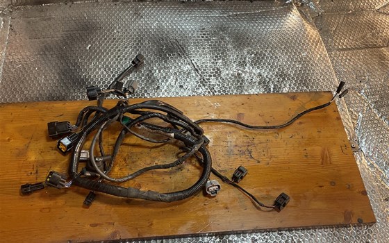 Kawasaki ZX12R ZX 1200 A Kabelbaum Zündspulen - Bild 1 Kawasaki ZX12R ZX 1200 A Kabelbaum Zündspulen - Bild 1