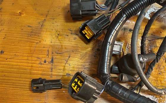 Kawasaki ZX12R ZX 1200 A Kabelbaum Zündspulen - Bild 2 Kawasaki ZX12R ZX 1200 A Kabelbaum Zündspulen - Bild 2