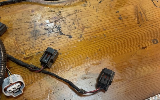 Kawasaki ZX12R ZX 1200 A Kabelbaum Zündspulen - Bild 4 Kawasaki ZX12R ZX 1200 A Kabelbaum Zündspulen - Bild 4