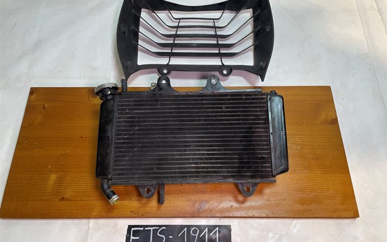 KTM RC 390 2016 Kühler Wasserkühler Lüfter Kühlerverkleidung - Bild 1