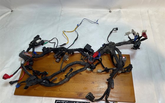 KTM RC 390 2016 Kabelbaum Hauptkabelbaum - Bild 11