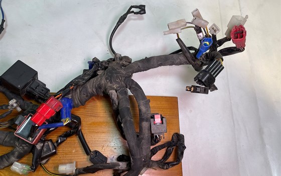 KTM RC 390 2016 Kabelbaum Hauptkabelbaum - Bild 12