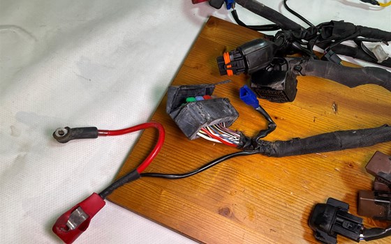 KTM RC 390 2016 Kabelbaum Hauptkabelbaum - Bild 8