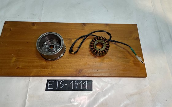 KTM RC 390 2016 Lichtmaschine Rotor Stator Polrad LIMA - Bild 1