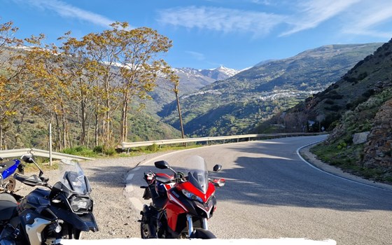 Andalusien November 2026 - 08.11.2026 | 8 Tage - Bild 1