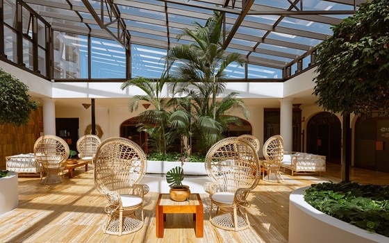 Winterflucht Teneriffa & Gomera | Kombireise | 8 Tage - 15.02.2025 - Bild 5