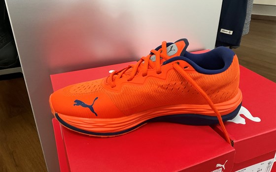 Replica Team shoes  - Bild 2