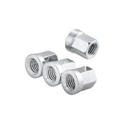 Muttern Kit M8x1,25 mm Sechskant MY, Felge SIP (schlauchlos), SIP für Lambretta (4)