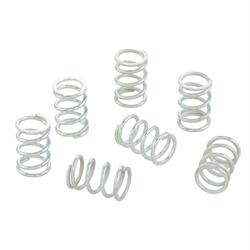 Kupplungsfedern MALOSSI 2918474 für Vespa PX 125 Euro 0-1, PX E 200 2T