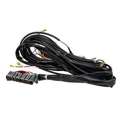 Kabelbaum, 217897 für Vespa PX80-200E Lusso