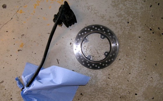 Bremssattel und Bremsscheibe hinten - Bild 1